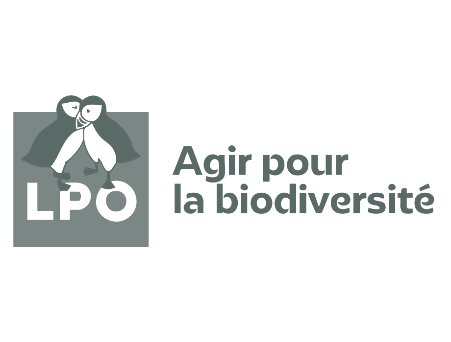 PANLOY_LOGO_REGION-07